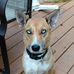 Michael Brecher - Facebook