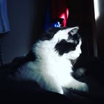 Michael Anthony William Breck - @mich.aelbreck - Instagram
