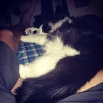 Michael Breck - @sealyric16 - Instagram