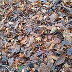 Michael Breece - @tdog246802021 - Instagram