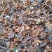 Michael Breece - Facebook