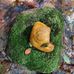 Michael Breheny - Facebook