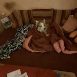 Michael Breitenbach - @michael.breitenbach.1217 - Instagram