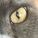 Michael Breitigan - @breitiganmichael - Instagram