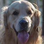 Michael Bremmer - @michael.bremmer.38 - Instagram