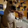 Michael Brenner - @michael.brenner40 - TikTok