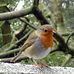Michael Brewin - Facebook