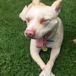 Michael Briand - @briandmj67 - Instagram