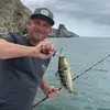 Michael Brick895 - @michaelbrick3 - TikTok