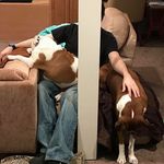 Michael Bridgeforth - @bridgeforth.m - Instagram