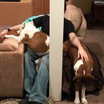 Michael Bridgeforth - Facebook