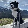Carlos - @michael.briese7 - TikTok