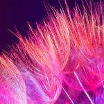 Michael Briese - @michael.briese.33 - Instagram