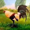johnmichaelbrilla0 - @johnmichaelbrilla0 - TikTok