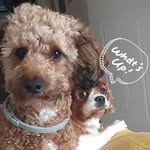 Michael Britz - @michael.d.britz - Instagram