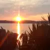 Michael Brockmann829 - @michaelb19662 - TikTok