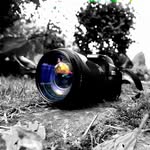 Michael Brockmann - @my_fotopoint - Instagram