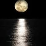 Michael Brownfield - Facebook