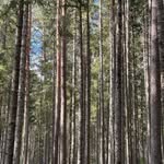 Michael Brückmann - @michael_brueckmann - Instagram