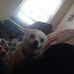 Michael Brueck - Facebook