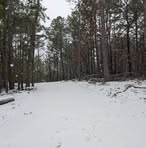 Michael Bruner - Facebook