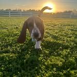 Michael Brunk - @bigbrunk21 - Instagram