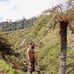 Michael Bruno - Facebook