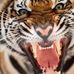 Michael Brusa - Facebook