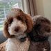 Michael Brzozowski - Facebook