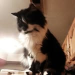 michael brzozowski - @michaelbrzozows - Instagram