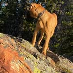 Michael Buckner - @michael.buckner2 - Instagram