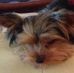 MIchael Budd - Facebook