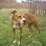 Michael Buddenberg - @michaelbuddenberg - Instagram