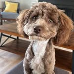 Michael Budge - @budge.michael - Instagram