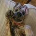 Michael Budge - Facebook