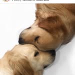 Michael Budge - @budge3548 - Instagram