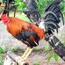 Michael Bugay - Facebook
