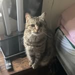 Michael Bungard - @bungard.michael - Instagram