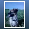 Michael Bunge422 - @michel73x - TikTok