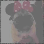Deann Bond - @michaelbureshoof - Instagram