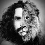 Michael R. Burgio - @mikeyburgio - Instagram