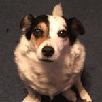 @mr_michael_burgio - Instagram