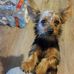 Michael Burkhead - Facebook
