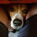 Michael Burlingame - @burlingame_michael - Instagram