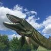 michael_burrill - @michael_burrill - TikTok