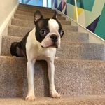 Michael Burrows - @magicalmike1 - Instagram
