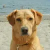 michaelburtt8 - @michaelburtt8 - TikTok