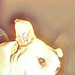 Michael Buskirk - @michaelbuskirk228 - Instagram