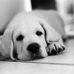 Michael Buskirk - Facebook