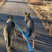 Michael Buskirk - Facebook